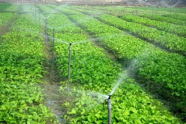 راههای اصلاح الگوی مصرف آب کشاورزی